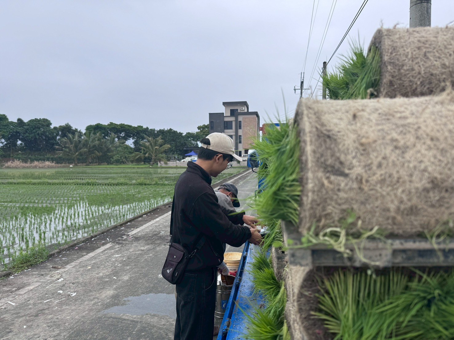 學生與農友討論水稻施肥與插秧間距