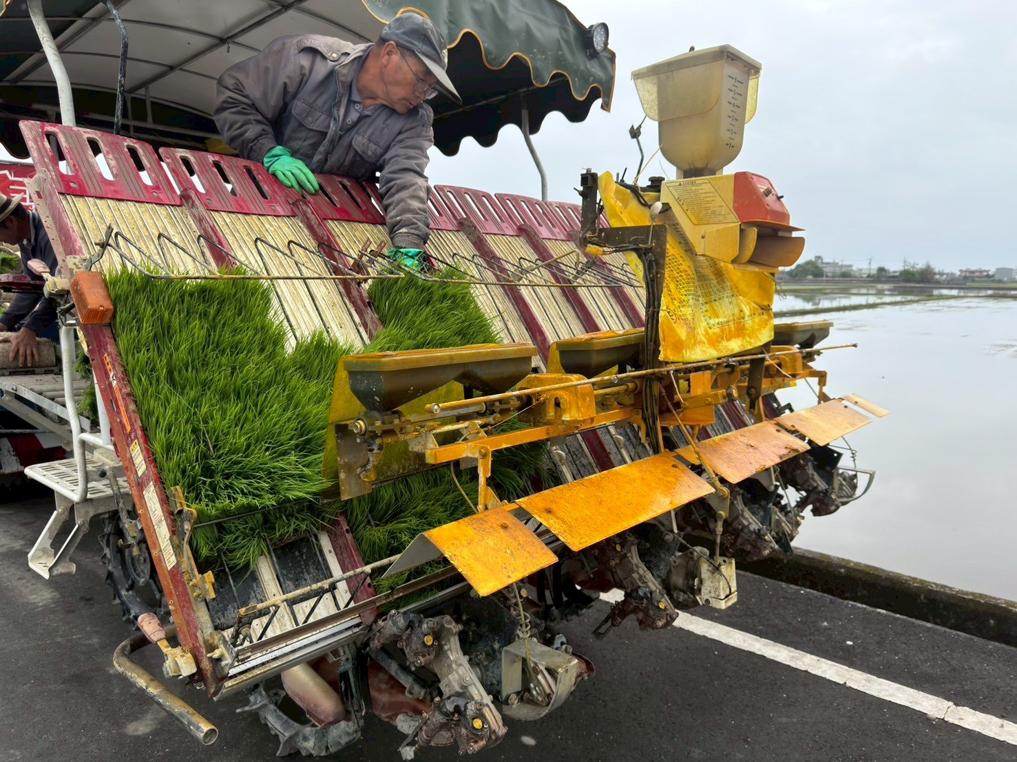 農友擺放並設定水稻插秧間距